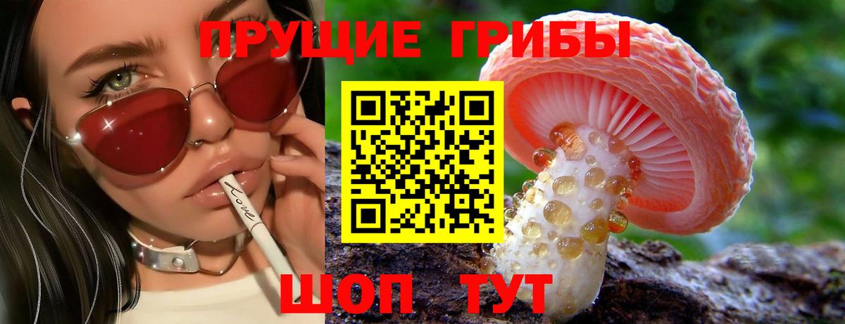 Донской  Галлюциногенные грибы MAGIC MUSHROOMS  Вход с VPN 