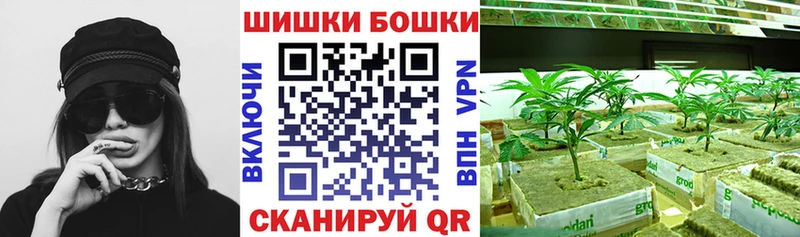 Шишки марихуана планчик Донской
